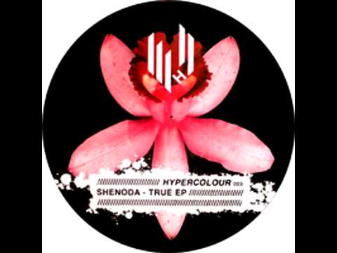 Shenoda - True (Original Mix)
