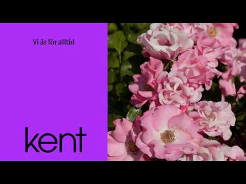 Kent - Vi är för alltid (Official Audio)