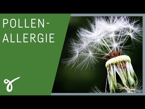 Hay fever: The right diet helps with cross-allergies | Healthy living with Dr. Ambrosius