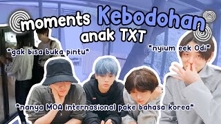 Download lagu Moments Kebodohan TXT | Kekonyolan yang bikin kita semua ketawa mp3 Download lagu Moments Kebodohan TXT | Kekonyolan yang bikin kita semua ketawa mp3