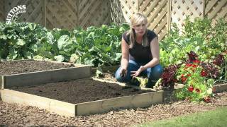 How to... Use a Raised Bed in Your Garden
