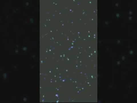 #AmyRose #DEPRIVED #HEDGEHOG #1994 #Sonic #Creepypasta #SonicEXE #Glitch #SonicTheHedgehog #Amy