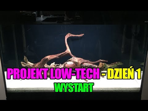 (24) Glossy 200 - Projekt Low-Tech - Dzień 1