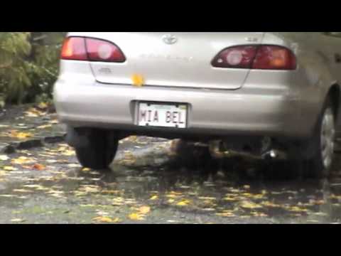 Vanity Plates From Everywhere