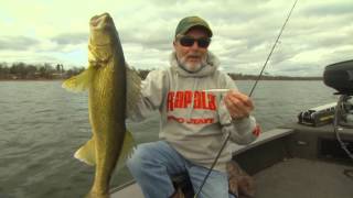 Wobler Rapala Scatter Rap Minnow 11_MFT