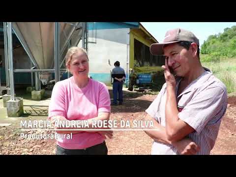 Suinocultura atrai jovens a permanecerem no meio rural (Novo Barreiro) - Rio Grande Rural