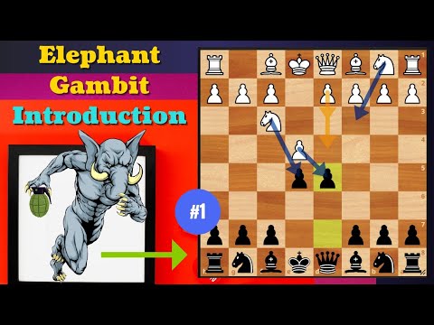 Tricky Elephant Gambit - 1 (Introduction)