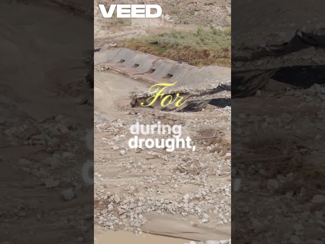 AI THAT CONTROLS WATER SYSTEMS 💧