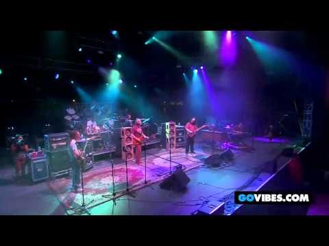 Dark Star Orchestra 'Scarlet Fire' at Gathering of the Vibes 2011