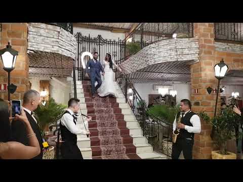 Anúncios dos Noivos - Never Let Me Go Alok - Violino&Sax - Renato Mozart Produções Musicais