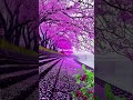 Falak Tak Chal Sath Mere Aesthetic Status New WhatsApp Status Status Shorts