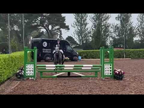 Eventing / Working Hunter 9yr old Gelding - Image 2
