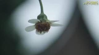 Download lagu JHON KINAWA-TAKICUAH DI NAN TARANG mp3 Download lagu JHON KINAWA-TAKICUAH DI NAN TARANG mp3