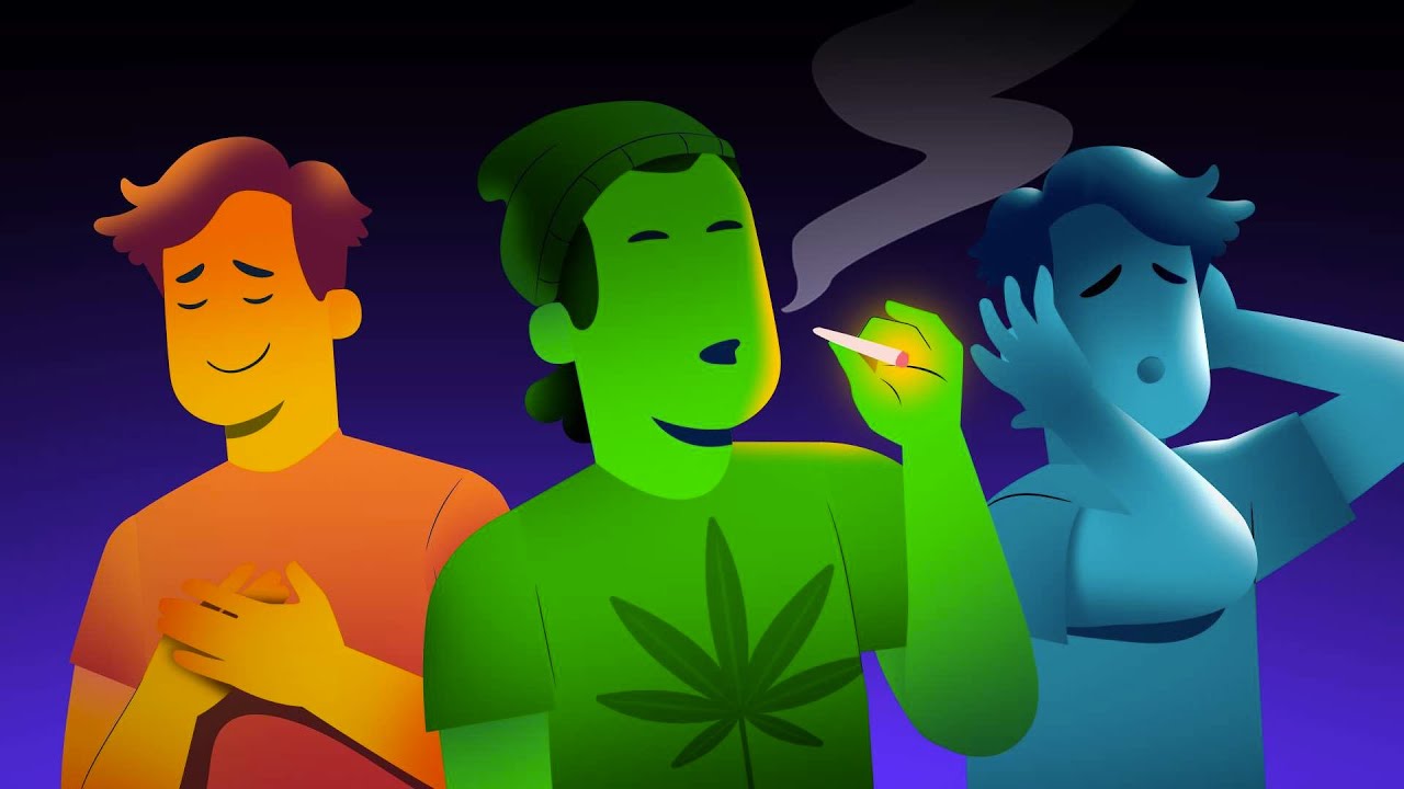 Why Marijuana Helps Your Brain But Harms Your Mind