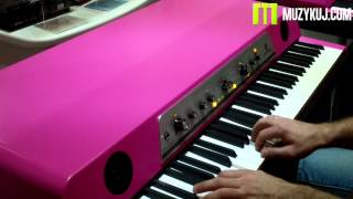 Video thumbnail for Waldorf Zarenbourg by muzykujkropkacom