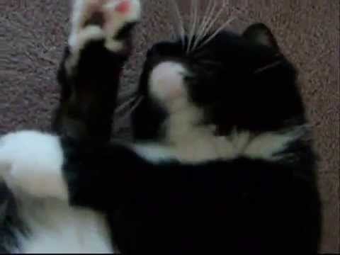 "I Just Cant Live Without You!"