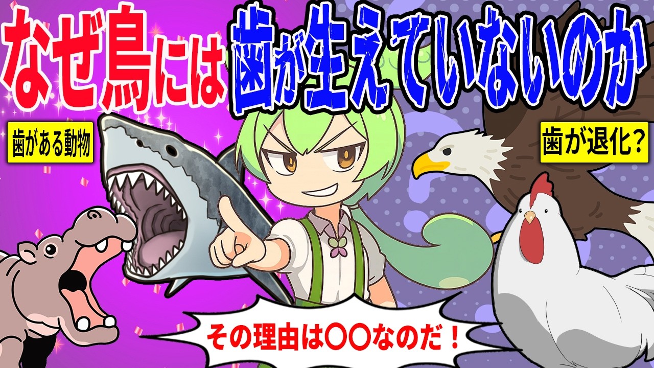 鳥に歯がない理由とは一体なぜなのか【ずんだもん＆ゆっくり解説】
