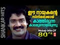 എൺപതുകളിൽ യുവാക്കളുടെ ഹരമായിരുന്ന ശ�