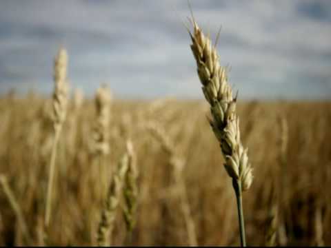 M.I.K.E. pres. Plastic Boy - Chocolate Infusion (Original Mix)