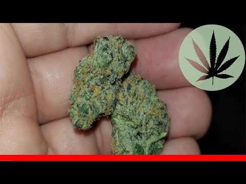 Rare Darkness - All About This Strain