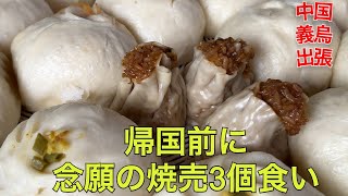 中国義烏6-7日目！〜友人のイーウー会社に潜入・ドヤ顔おがんで、無事帰国編〜#63
