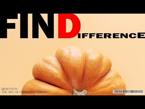 What's the difference? ep045. pumpkin