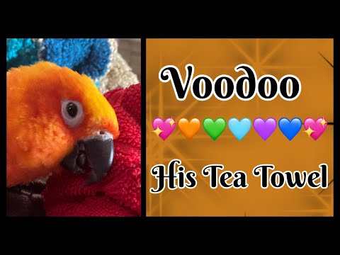 Mama B Matador, Voodoo Bull