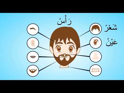 Learn Arabic  300 Words for everyday use