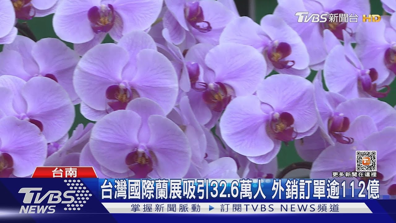 亮眼！台灣國際蘭展吸引32.6萬人　外銷訂單逾112億