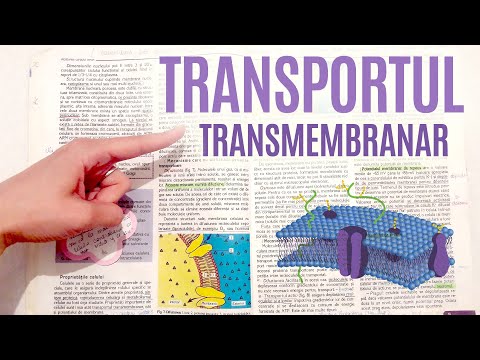 ADMITERE la MEDICINĂ: Celula şi ţesuturile (2) - Transportul transmembranar
