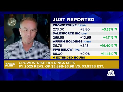 CrowdStrike's long thesis remains intact, says Creative Strategies ...