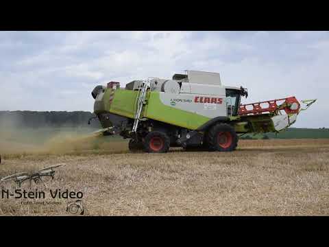 Dinkel Ernte 2021  mit dem CLAAS LEXION 540  Mähdrescher harvest Getreideernte 2021