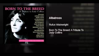 Albatross Music Video