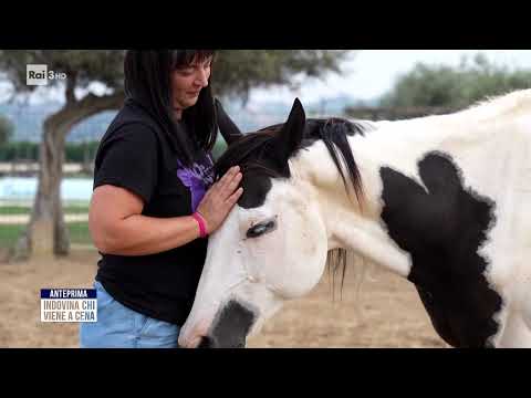 Indovina chi viene a cena   Bastardi senza gloria - 13/12/2025