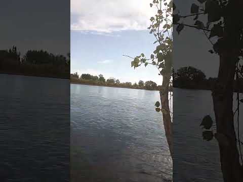 rio limay plottier neuquen#viralvideo