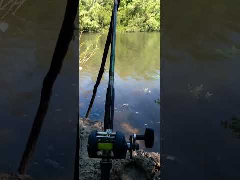 Costas del santa Lucía Florida uruguay