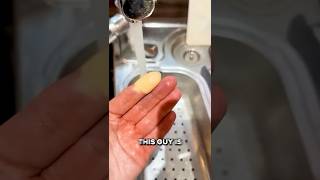 The Raynaud's Phenomenon