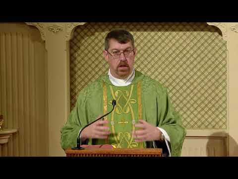 Readings and Homily - 2026-01-14 - Fr. Ben Cameron