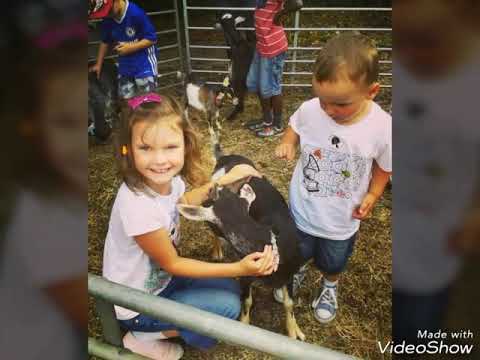 Wspaniałe wakacje 2018