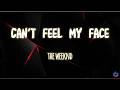 The Weeknd Can T Feel My Face Lyrics