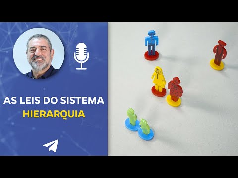 As Leis do Sistema - Hierarquia