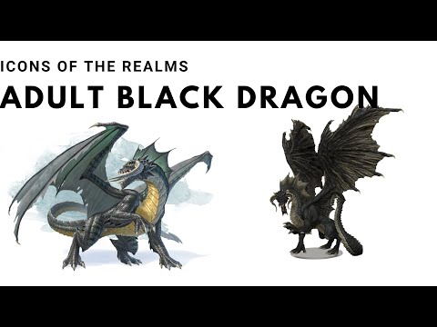 Icons of the Realms: Adult Black Dragon Premium Figure Review - Wizkids Prepainted Miniatures