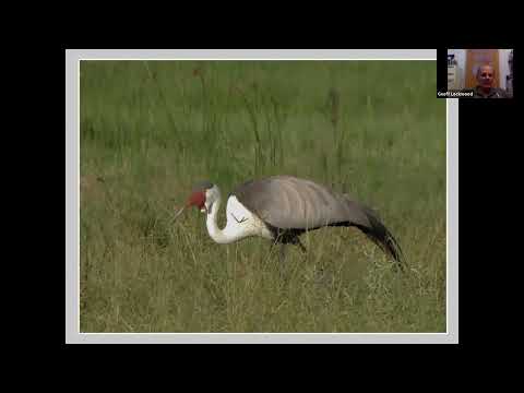 RBBC Mthly Meeting - BioDiversity Talk by Geoff Lockwood - Jan 2021