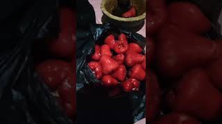 Download lagu Rujak petis jambu air! mp3