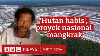 Download lagu Food Estate: Hutan habis, ribuan hektare kebun dan sawah gagal panen - BBC News Indonesia mp3