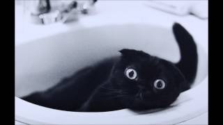 Lord Raja - De Lia Lu Lu