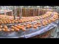 How McDonald Hamburger Buns Are Made In 30 Seconds