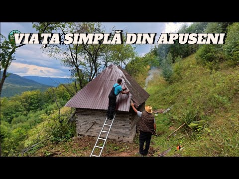 AICI AU TRĂIT BUNICII MEI – VIAȚA GREA ÎN MUNȚII APUSENI | EP 47