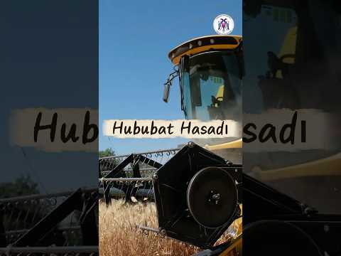 Belediyemize Ait Hububat Tarlalarında Hasat Başladı 27.07.2026