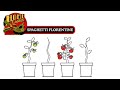 HOME Cookin' | Kimmie Rhodes & Gabriel Rhodes Spaghetti Florentine
